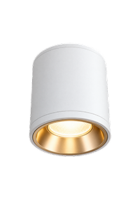 Surface Lights